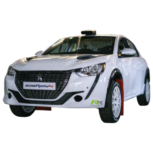 Peugeot Sport 208 Rally 4 Assembled Car - Ready to Race